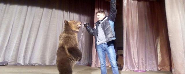 Гулявший по Таганрогу медведь оказался цирковым артистом из Пензы