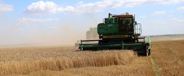 В Орловской области аграрии убрали озимые зерновые на 18 тысячах га