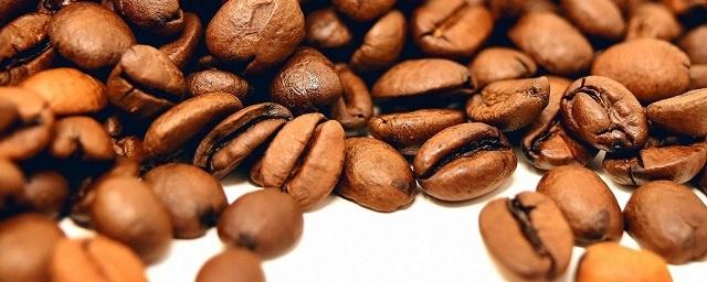 Ученые: Более 60% диких сортов кофе оказались под угрозой исчезновения