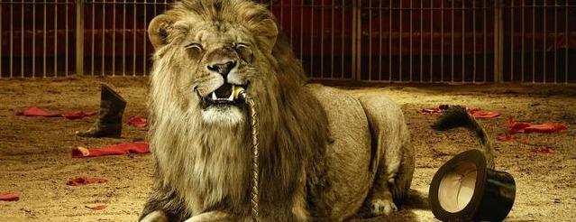 Власти Нью-Джерси запретили цирковые номера с дикими животными