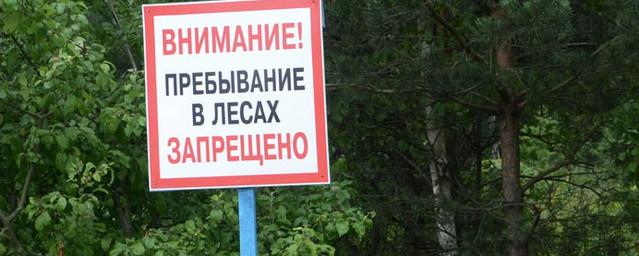 В Нижегородской области с 6 по 10 мая запрещено посещение лесов
