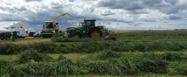 В Ленинградской области аграрии выполнили план по заготовке кормов