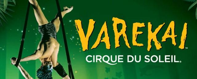 Cirque du Soleil покажет москвичам обновленное шоу Varekai