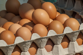 В Псковской области в прошлом году произвели на 13% больше яиц