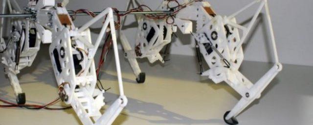 Ученые из Нидерландов создали робота-гепарда
