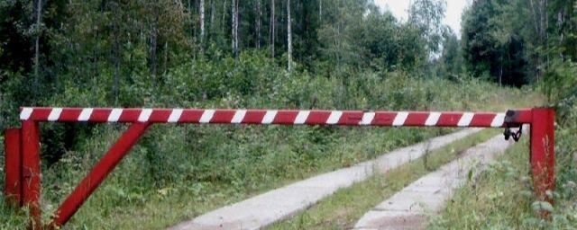 В Липецкой области запретили въезд на территорию лесов