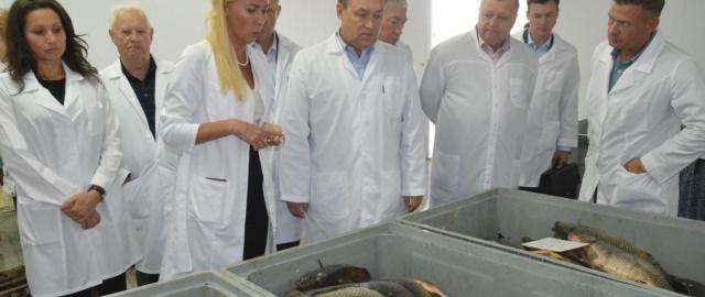 В Ростовской области намерены увеличить производство рыбы в 1,5 раза