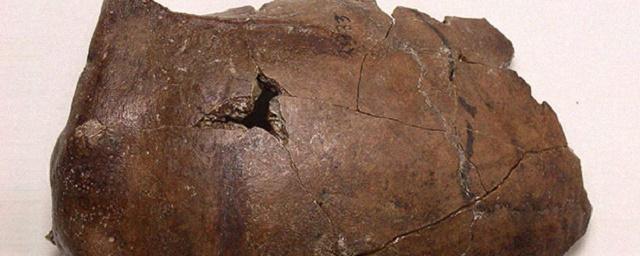 Обнаружен череп древнейшей жертвы цунами