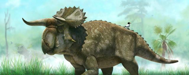 Ученые вырастили в лаборатории обед травоядного динозавра