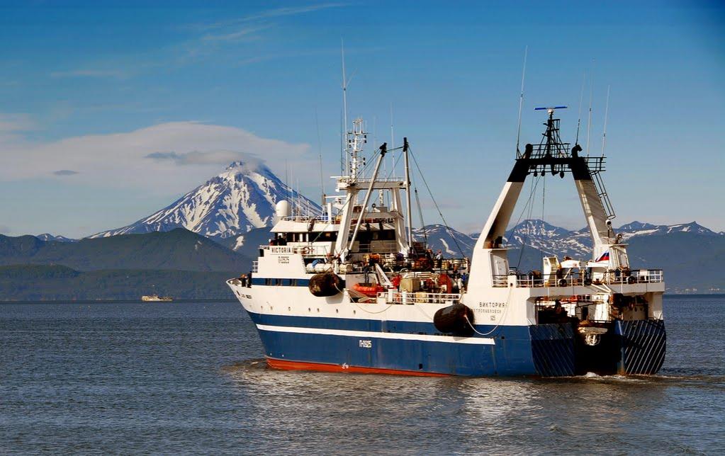 Севастополь будет экспортировать рыбу в Турцию и Казахстан