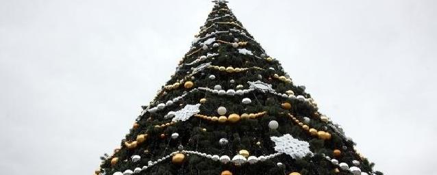 В Краснодаре девушка похитила новогодний шар с главной городской ели