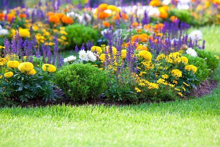 К весне Севастополь украсят более 100 цветочных клумб