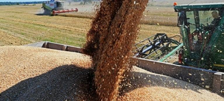 Сирия планирует купить у России 1,2 млн тонн пшеницы