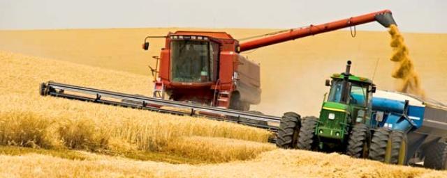 В Ставропольском крае на 90% завершили уборку зерновых
