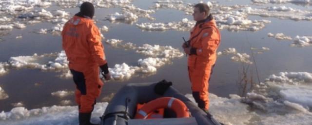 Жителя Богородского района спасли с дрейфующей льдины на Оке