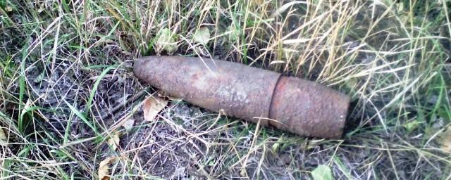 Под Курском нашли и обезвредили свыше 50 боеприпасов