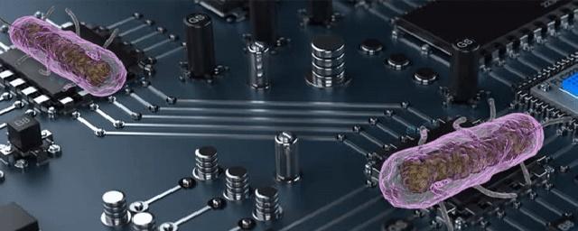 Ученые превратили кишечную палочку в биологический аналог компьютера