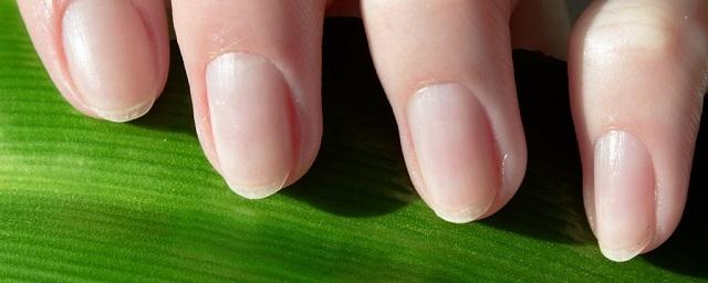 Ученые: Ногти могут рассказать о состоянии здоровья человека