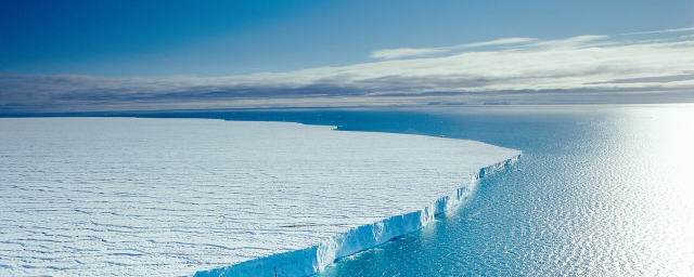 Ученые выяснили, как изменение климата влияет на обитателей Арктики
