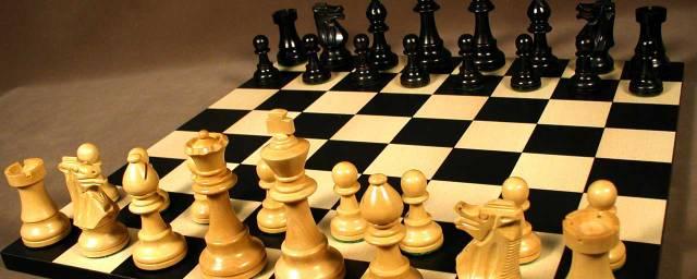 В Казани в декабре откроют первую городскую шахматную школу