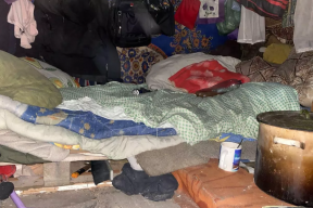 Тульская прокуратура выясняет, как семья с двумя детьми год жила в лесном шалаше незамеченной