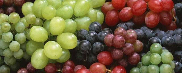 В Томске утилизировали 18 кг санкционного винограда