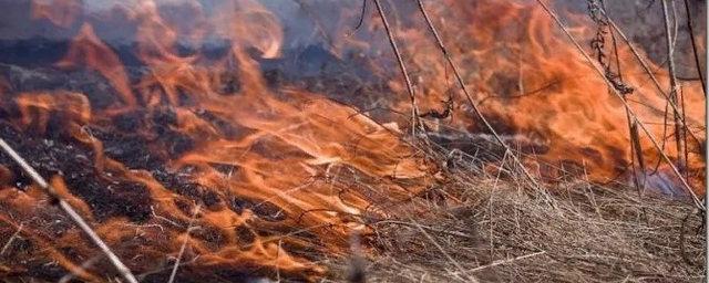 В Вологодской области завершился пожароопасный период