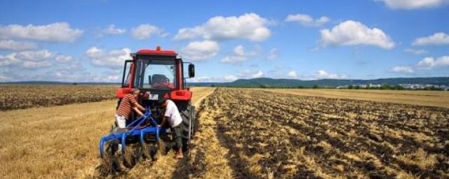 В Приморье сельхозпроизводство за 5 лет выросло на 14%