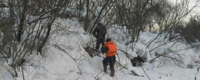 Томские спасатели сняли застрявшего на дереве рыбака