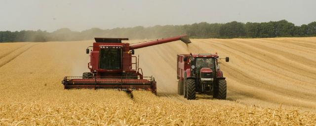 «Коммерсантъ»: Регионы просят ограничить экспорт зерна