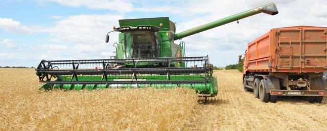 Минсельхоз РФ спрогнозировал урожай зерна в пределах 100 млн тонн