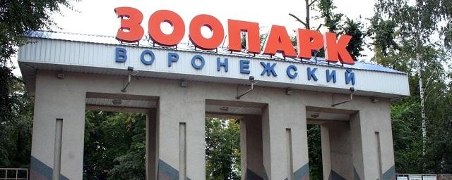 Воронежский зоопарк 18 мая бесплатно принимает посетителей