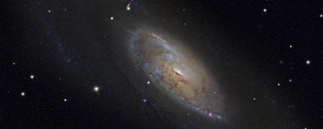 Астроном из Новосибирска запечатлел галактику в созвездии Гончих Псов