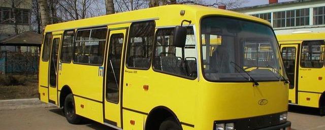 Жители Ростова попросили не сокращать количество городских маршруток