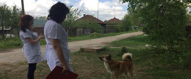 Четыре человека покусаны бешеной собакой в Семёнове