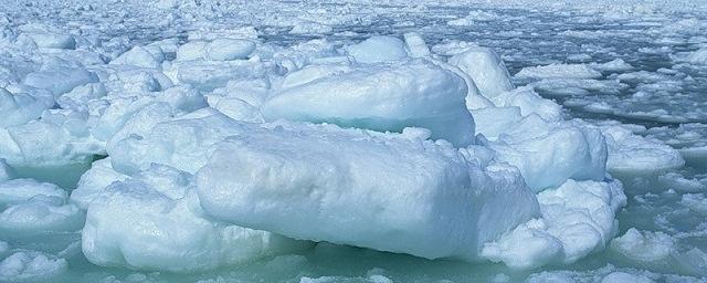 Ученые из РФ исследуют проблему таяния подводной мерзлоты в Арктике