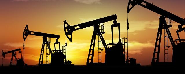 В I квартале 2017 года добыча нефти в России выросла на 0,6%