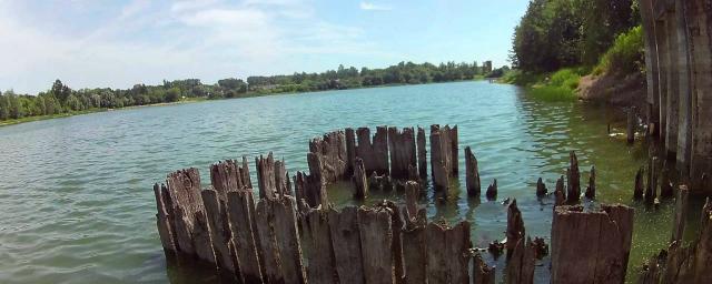 В Калининграде озеро Шенфлиз затянуло угольной пленкой