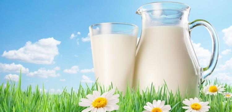 Около половины россиян не переносят молоко