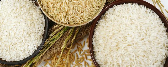 Несмотря на летнюю засуху, в Адыгее собрали рекордный урожай риса
