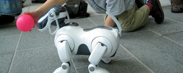 Компания Sony представит робота-собаку с искусственным интеллектом