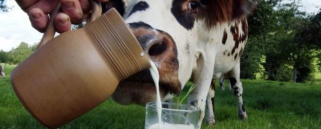 Белоруссия планирует увеличить производство молока в 1,4 раза
