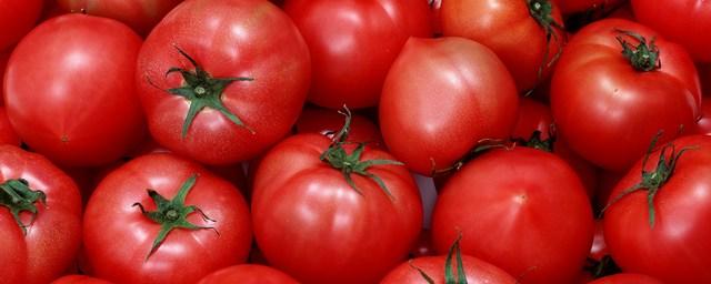 В Калининградской области утилизировали две тонны турецких томатов