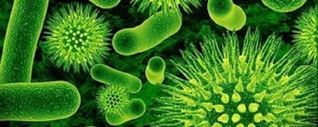 Ученый: Инопланетные вирусы и бактерии представляют опасность для людей