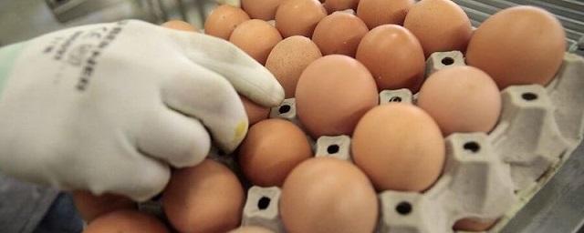 В Пскове на 35% выросла стоимость яиц в торговых сетях