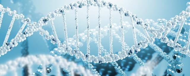 Ученые создали «карманную» лабораторию по расшифровке ДНК
