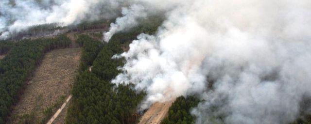 В Томской области официально завершился пожароопасный сезон