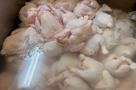 В подпольном цехе Екатеринбурга тушки куриц накачивали гелем