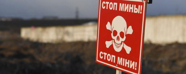 Украина нарушает Конвенцию о запрете противопехотных мин