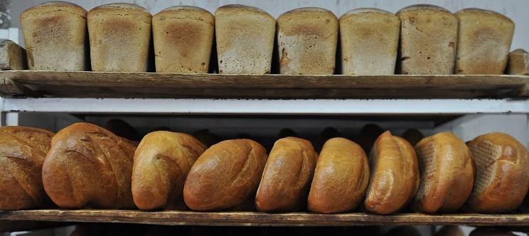 Яровая: Российские хлебопеки ежегодно теряют 50-60 млрд рублей